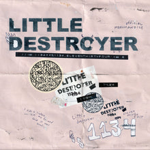 Load image into Gallery viewer, Little Destroyer | 1134 12&quot; Vinyl
