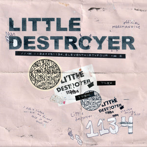 Little Destroyer | 1134 12" Vinyl
